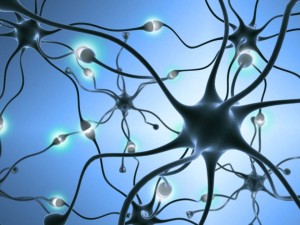 Brain Connection